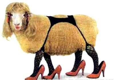 goat-stockings.jpg